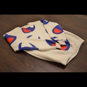 Vintage Champion Crewneck Sweatshirt (RARE)